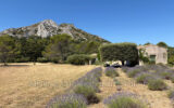 Maison à louer à Eygalières — Vue nature — photo 17
