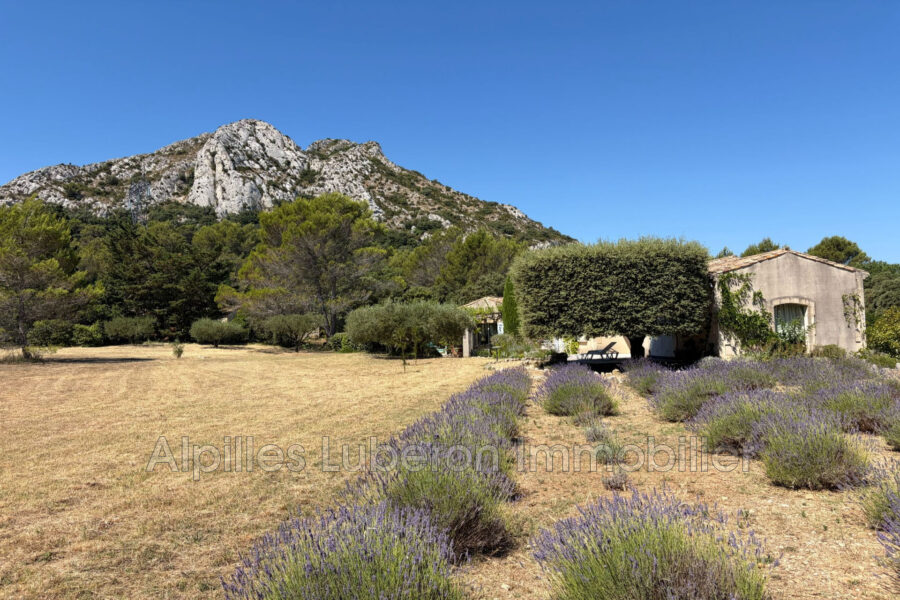 Maison à louer à Eygalières — Vue nature — photo 17