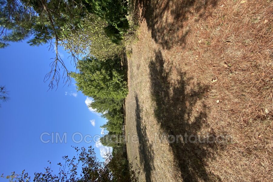 Terrain à vendre à Negrepelisse