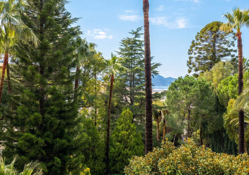 Appartement à vendre à Cannes — Vue parc & jardin — photo 17