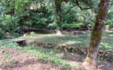 Maison à louer à Egletons — Vue nature — photo 16
