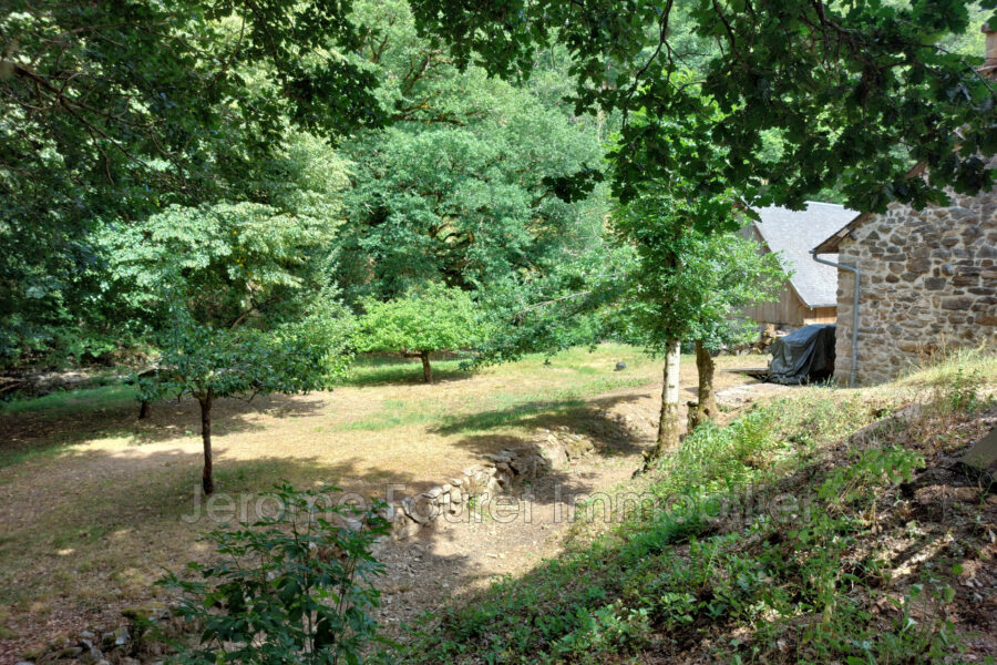 Maison à louer à Egletons — Vue nature — photo 15