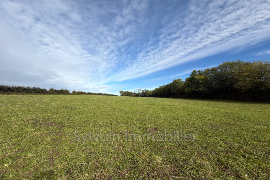 Maison à vendre à Formerie — Vue nature — photo 1