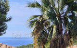 Maison à vendre à Bandol — Vue mer — photo 1