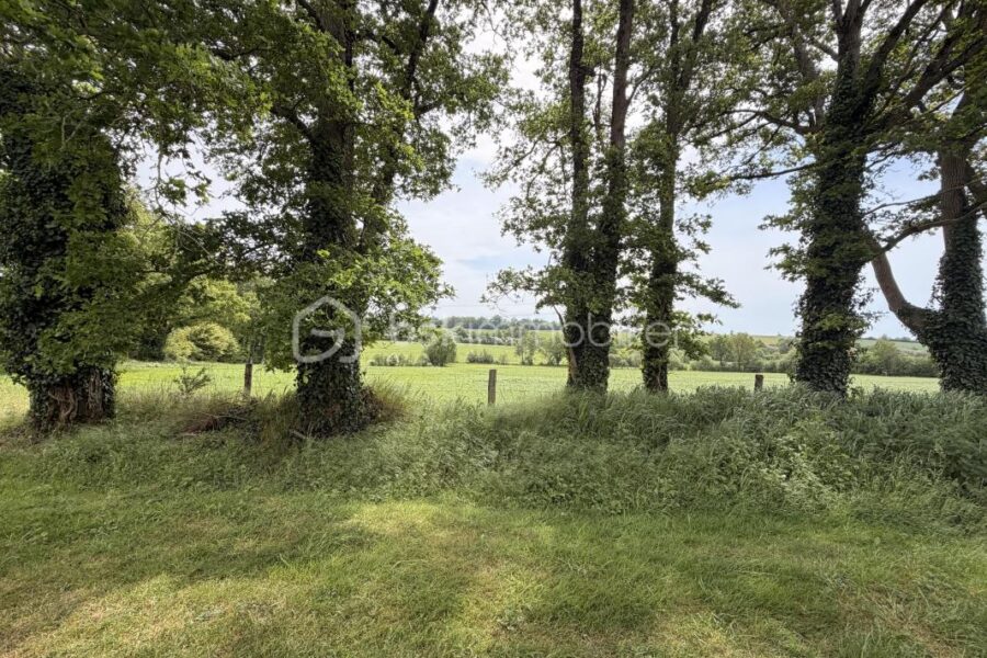 Maison à vendre à Erbree — Vue nature — photo 8