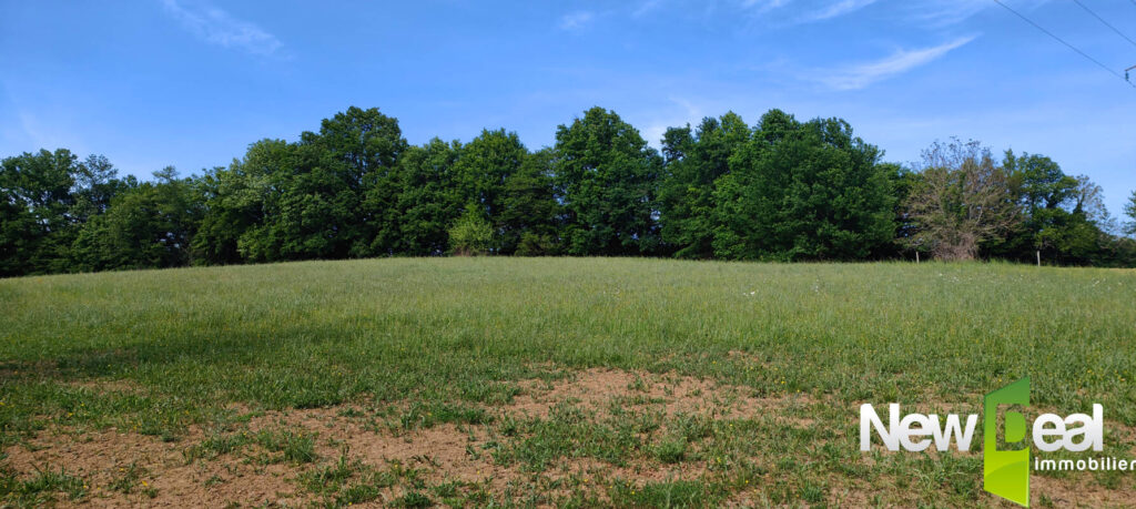 Superbe terrain de 5.000 m² à Tulle – NR pièces – NR chambres – 5060 m²