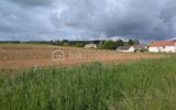 Terrain à vendre à Epernay — Vue nature — photo 7