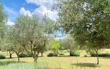 Maison à vendre à Le cannet-des-maures