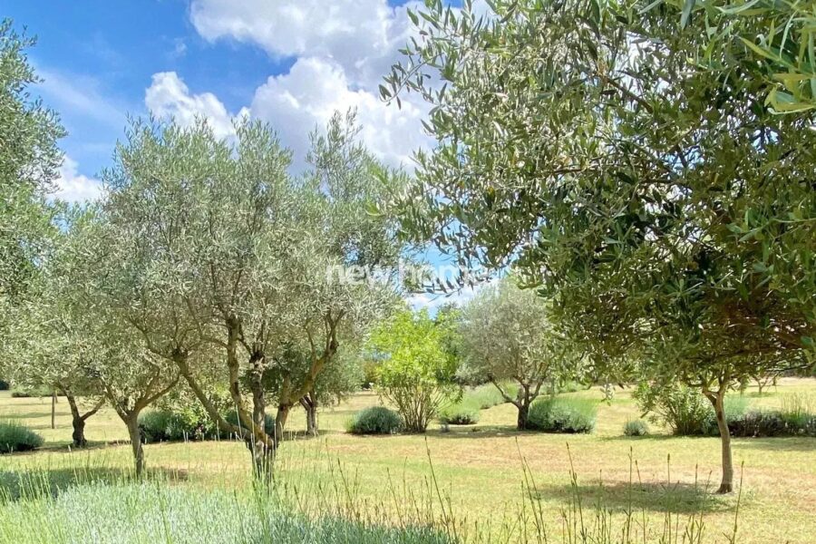Maison à vendre à Le cannet-des-maures