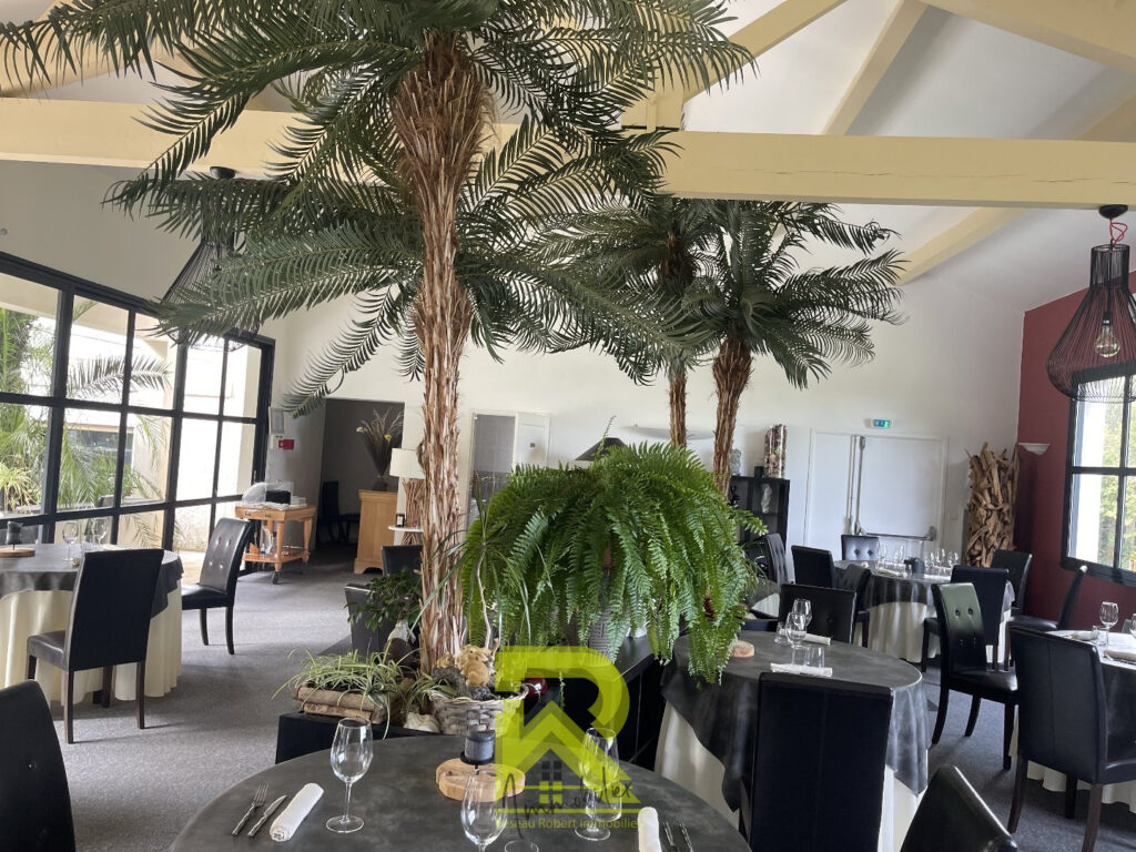 Domaine avec une activité commerciale – 6 pièces – 4 chambres – 211 m²