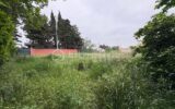Terrain à vendre à Millas — Vue nature — photo 8