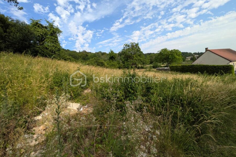 Terrain à vendre à Epernay — Vue nature — photo 8