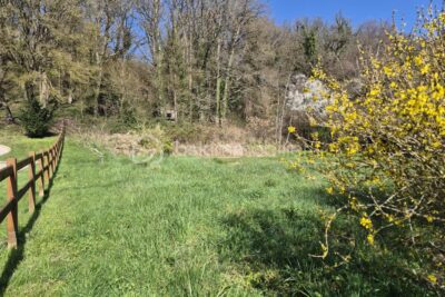 Terrain à vendre à Coteaux sur loire