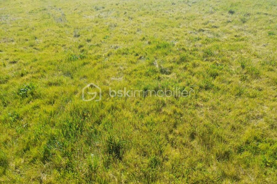 Terrain à vendre à Thure