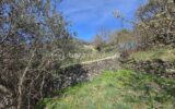 Terrain à vendre à Le vigan — Vue montagne — photo 8