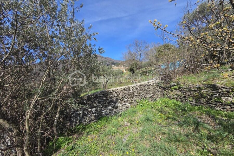 Terrain à vendre à Le vigan — Vue montagne — photo 8