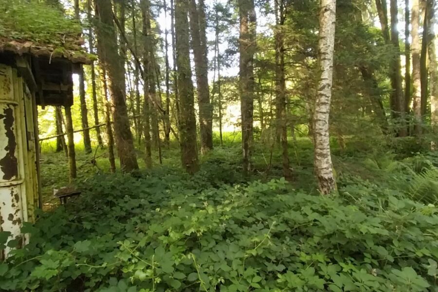 Terrain à vendre à Saint bresson