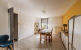 Maison à vendre à Rive de gier