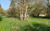 Terrain à vendre à Barro — Vue nature — photo 1