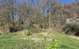 Terrain à vendre à Coteaux sur loire
