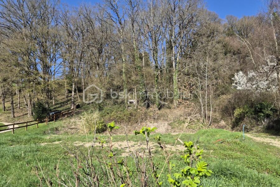 Terrain à vendre à Coteaux sur loire
