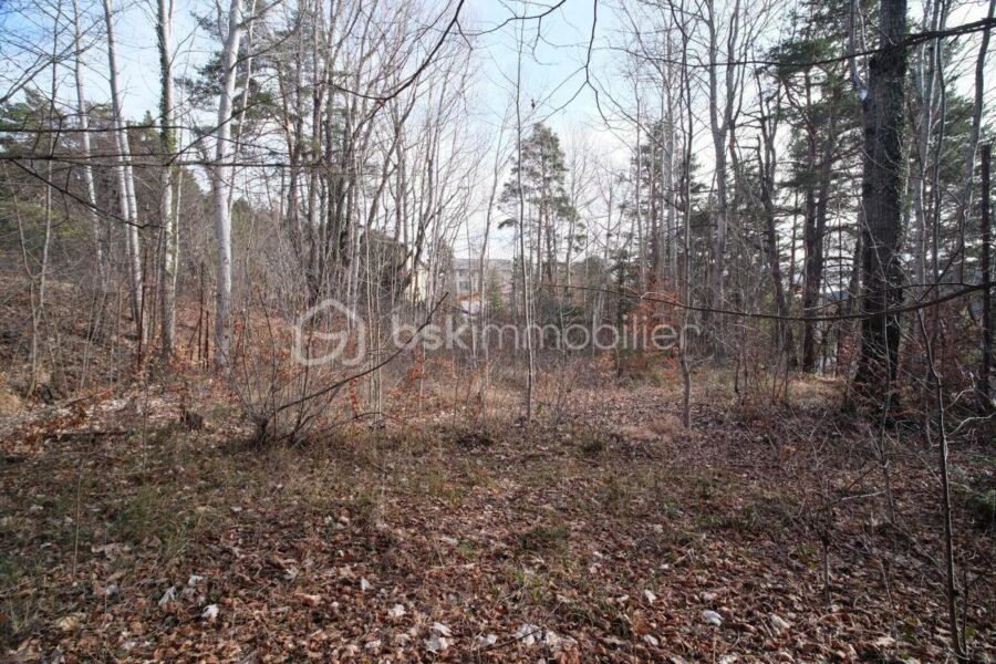 Terrain à vendre à Andon