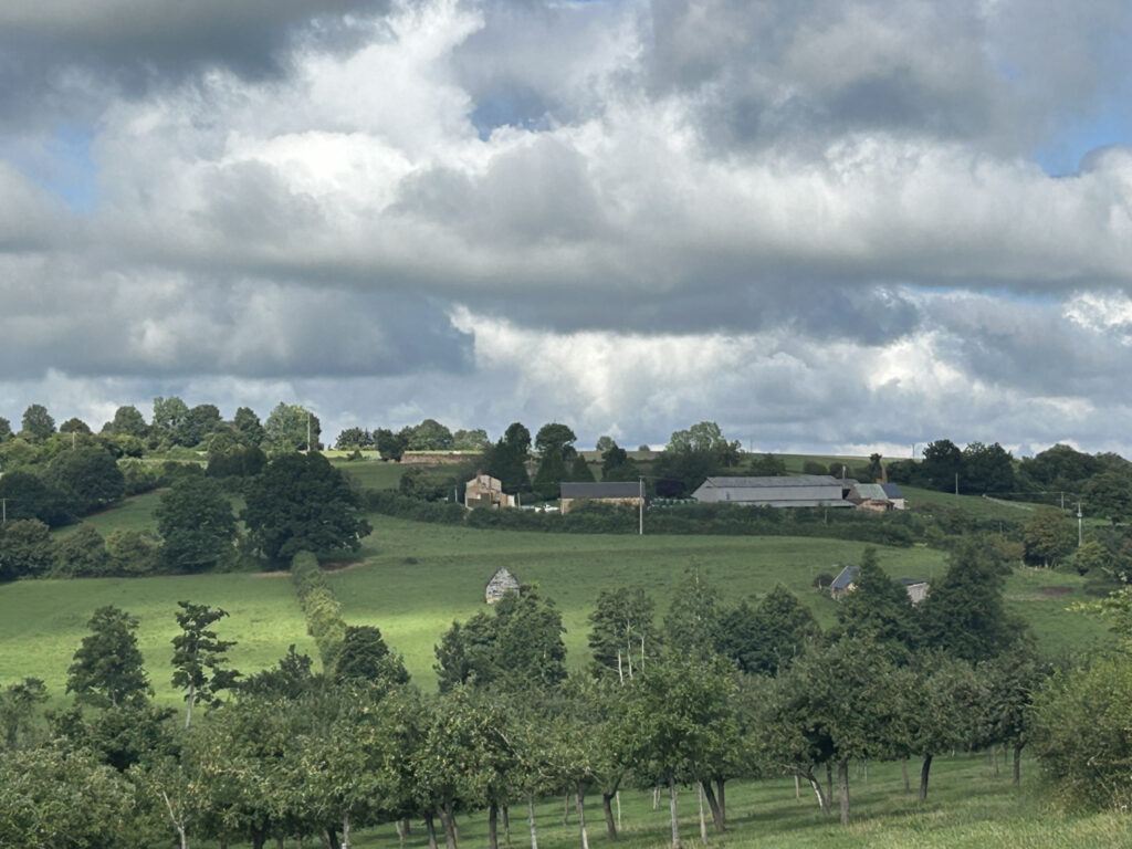 Au coeur de la campagne du sud Pays d&rsquo;auge, l&rsquo;agence CAZIN I – 6 pièces – 3 chambres – 120 m²