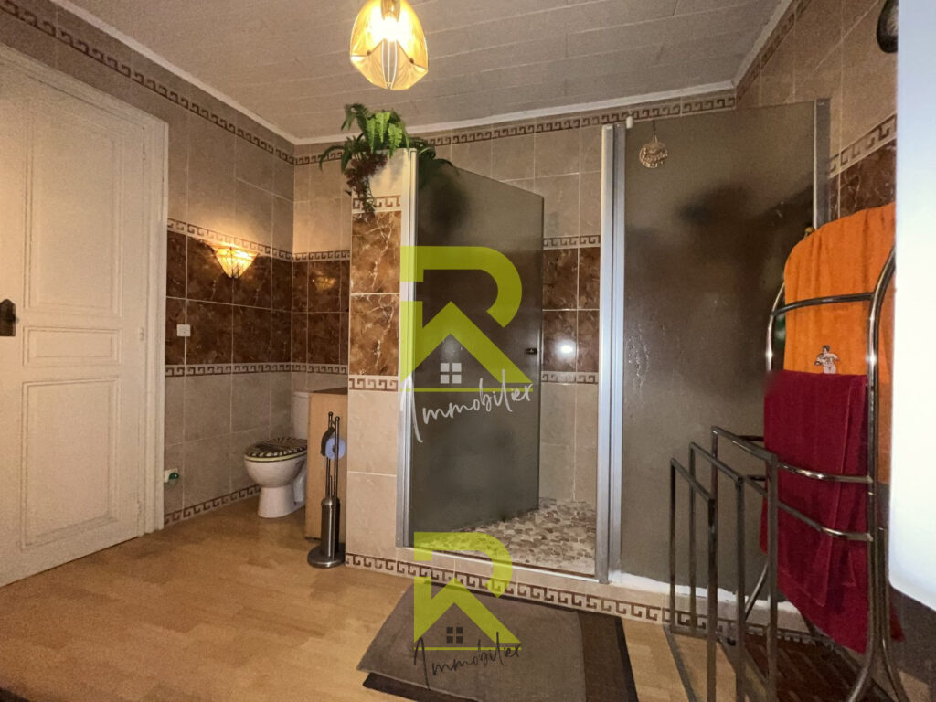 Charmant ensemble immobilier – Pézenas – 11 pièces – NR chambres – 250 m²