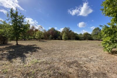 Terrain à vendre à Negrepelisse