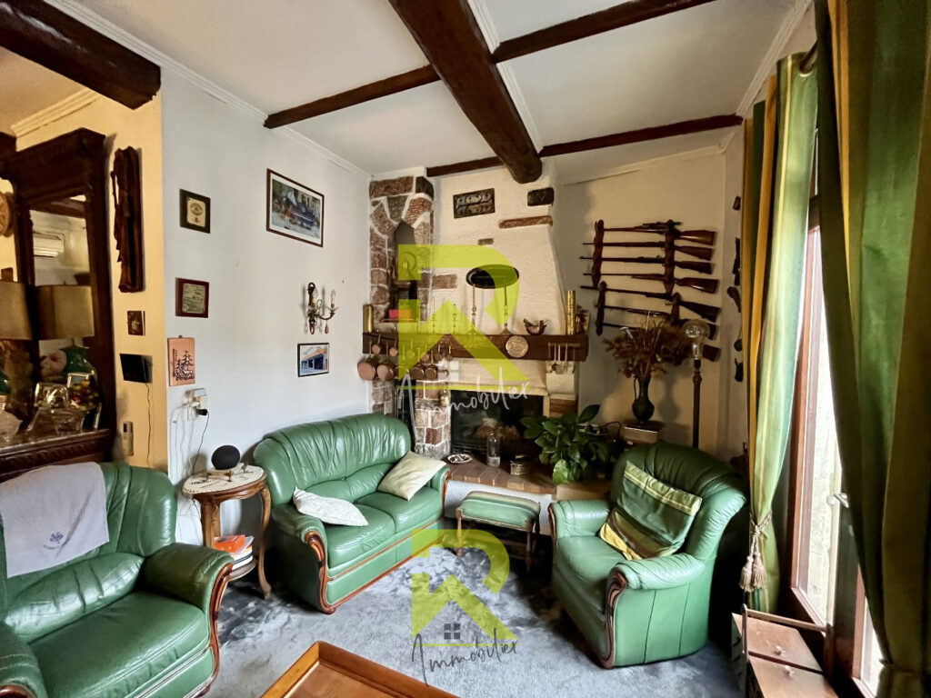 Charmant ensemble immobilier – Pézenas – 11 pièces – NR chambres – 250 m²