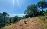 Terrain à vendre à Taradeau