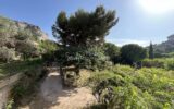 Maison à vendre à Les baux-de-provence