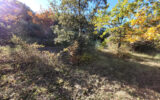 Terrain à vendre à Le pègue