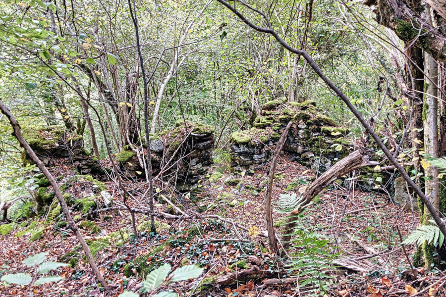 Terrain à vendre à Aulus-les-bains