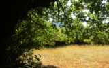 Terrain à vendre à Condorcet