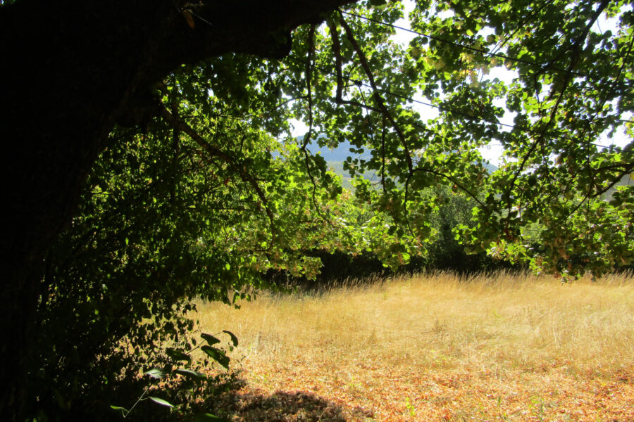 Terrain à vendre à Condorcet