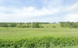 Terrain à vendre à Luneau