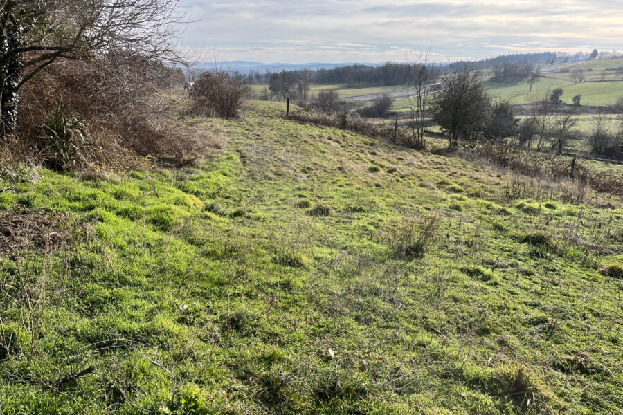 Terrain à vendre à Saint-maurice-de-lignon