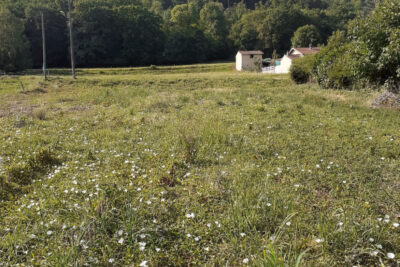 Terrain à vendre à Encausse-les-thermes