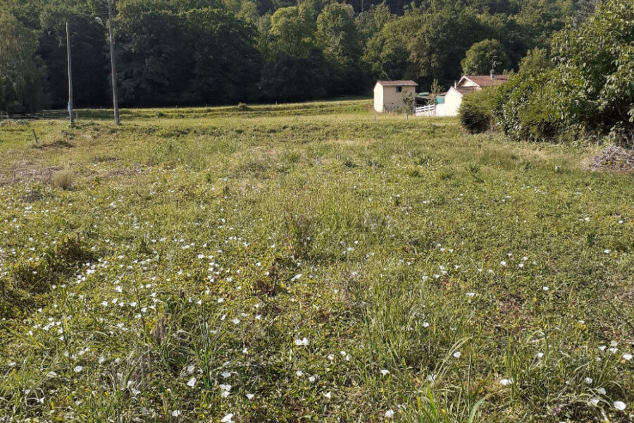 Terrain à vendre à Encausse-les-thermes