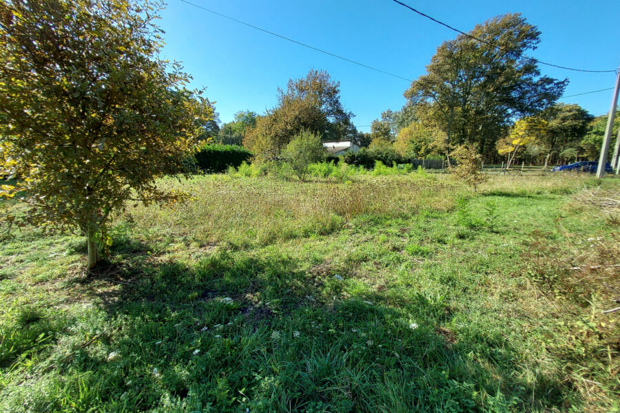 Terrain à vendre à Louchats