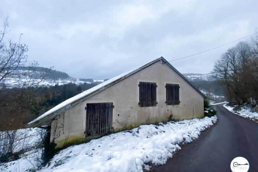 Maison à vendre à Fresse-sur-moselle