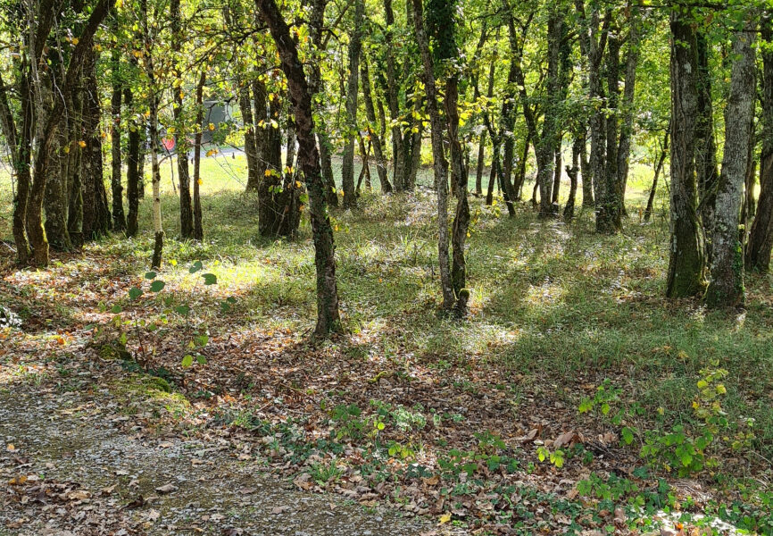 Terrain à vendre à Chartrier-ferrière