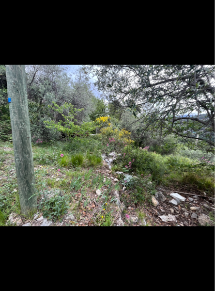 Terrain à vendre à Levens