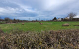 Terrain à vendre à Tronget