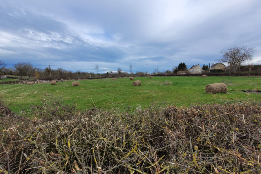 Terrain à vendre à Tronget