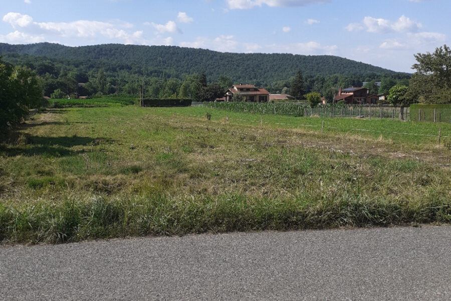 Terrain à vendre à Encausse-les-thermes
