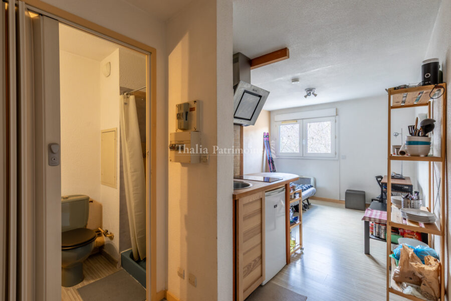 Appartement à vendre à Grenoble