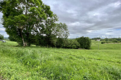 Terrain à vendre à Montastruc-de-salies