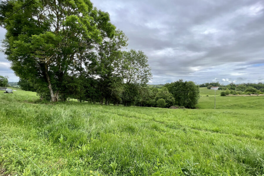 Terrain à vendre à Montastruc-de-salies